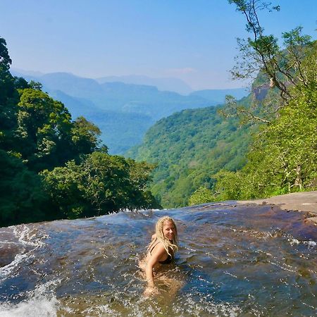 Chalet In The Jungle Pallegama 외부 사진