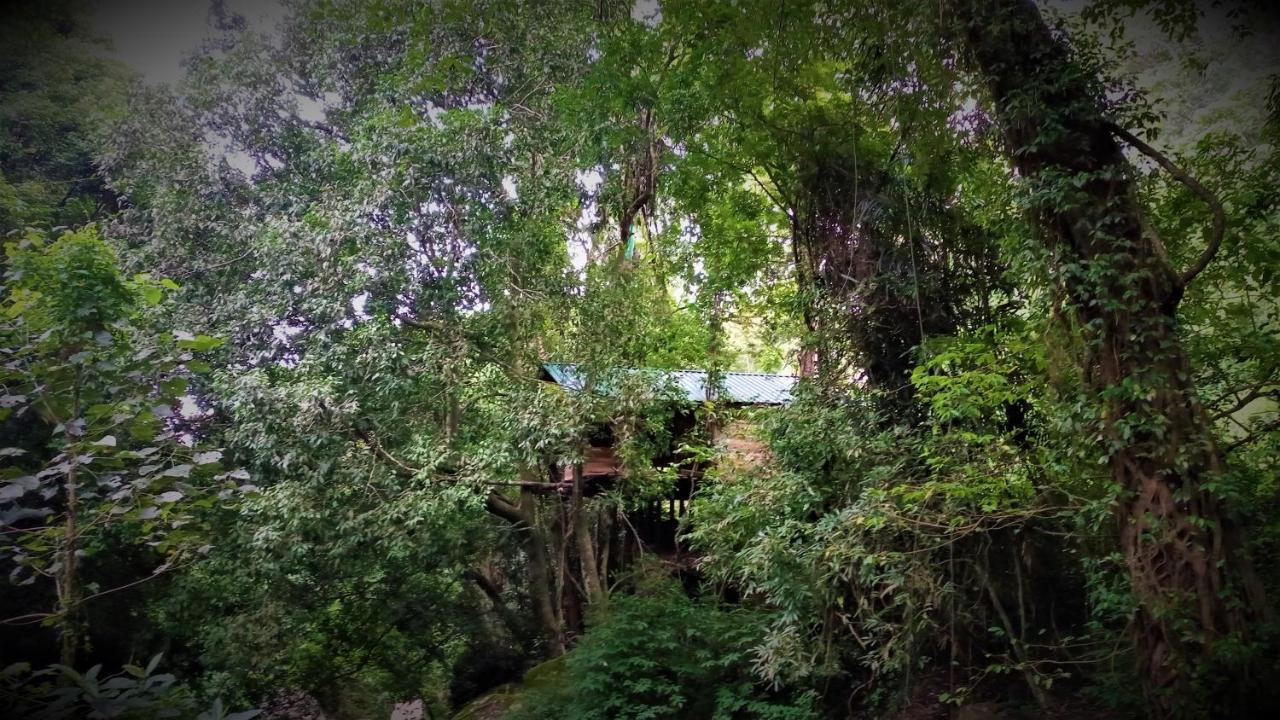 Chalet In The Jungle Pallegama 외부 사진
