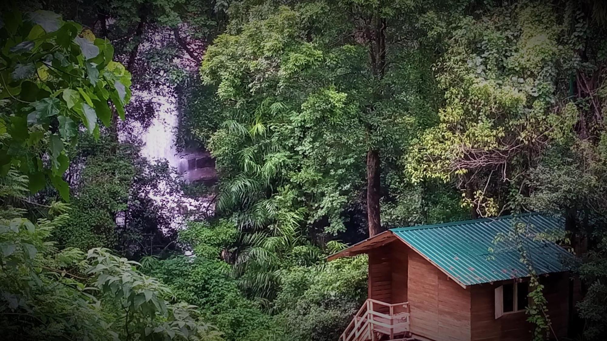 Chalet In The Jungle Pallegama 외부 사진