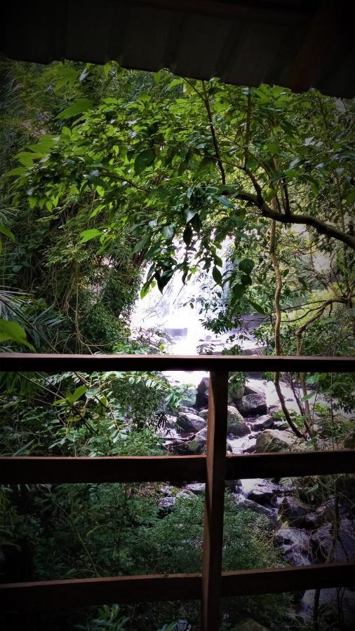Chalet In The Jungle Pallegama 외부 사진