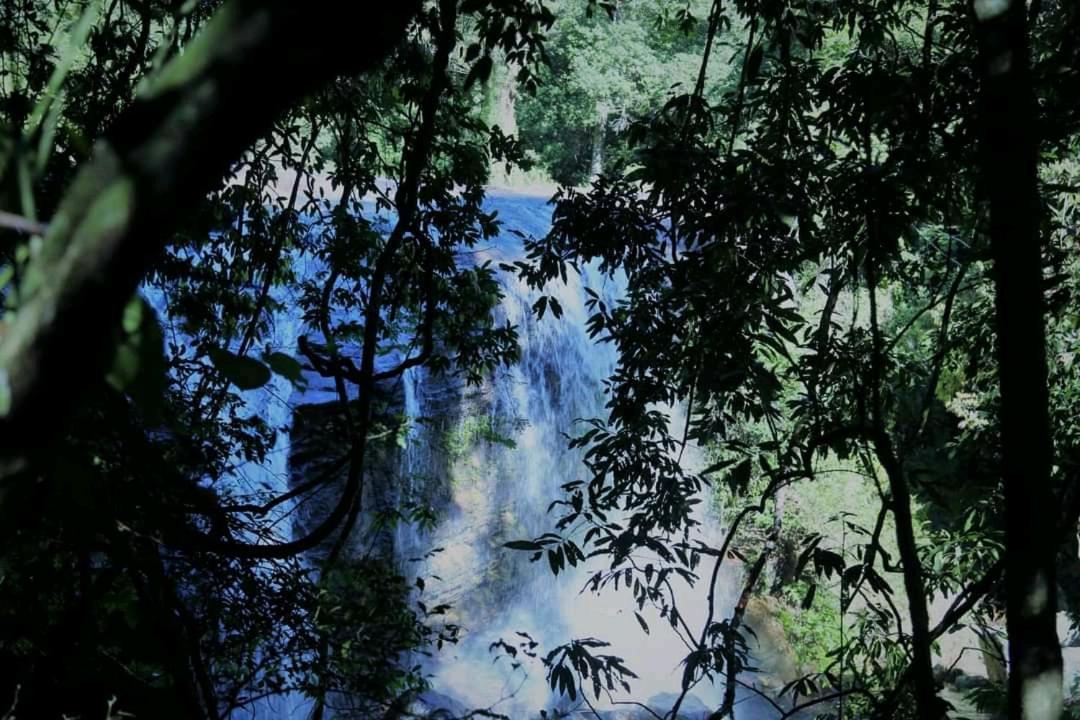 Chalet In The Jungle Pallegama 외부 사진