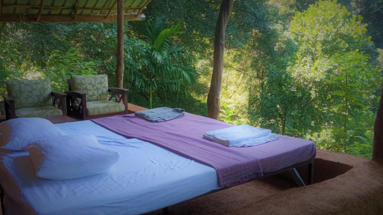Chalet In The Jungle Pallegama 외부 사진