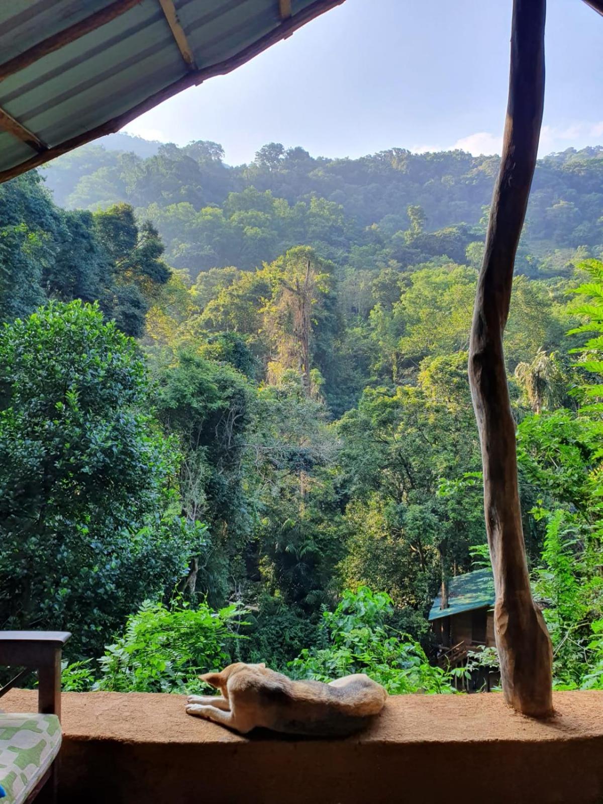 Chalet In The Jungle Pallegama 외부 사진