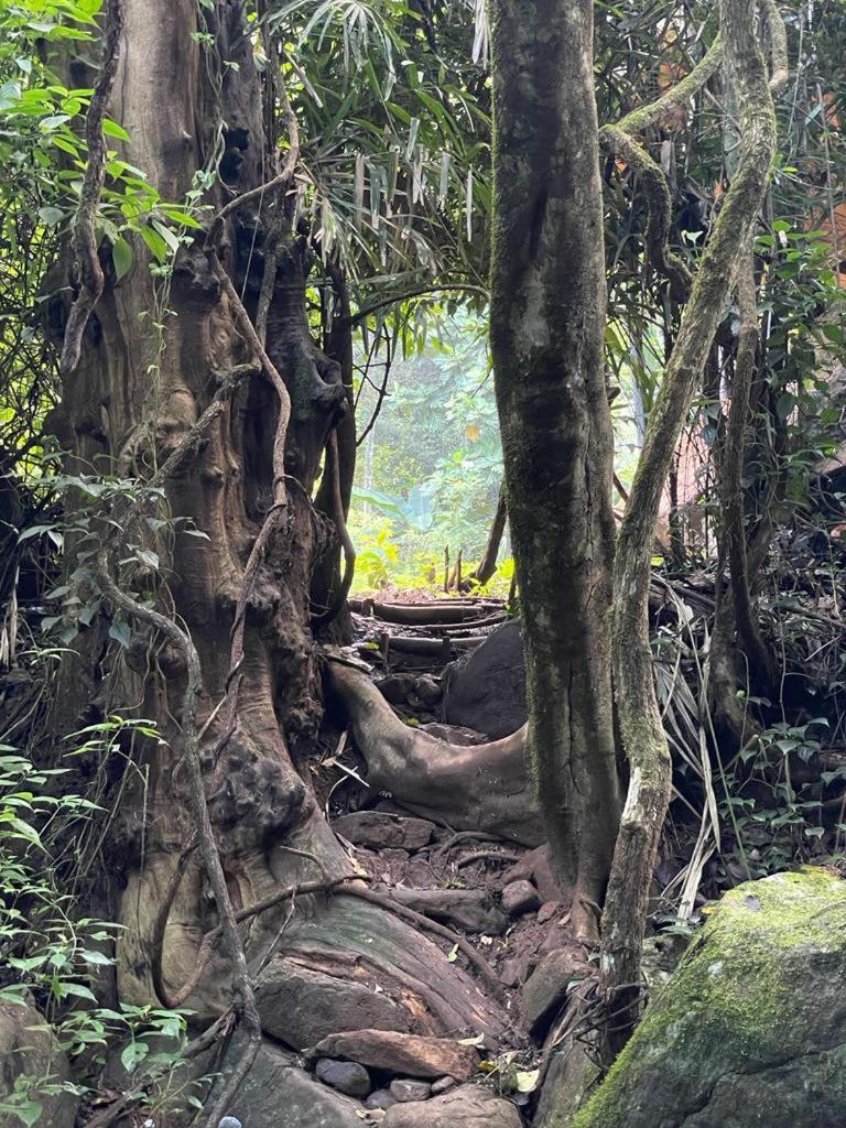 Chalet In The Jungle Pallegama 객실 사진